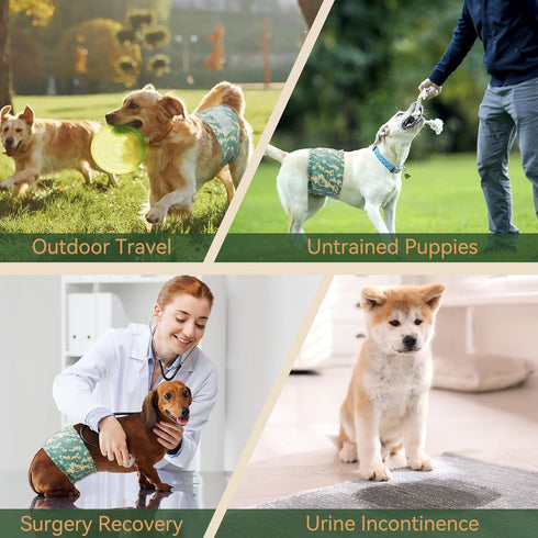LURKOMEMO Male,50 Count Dog Diapers Medium Adjustable Male Dog Diapers Disposable,Dog Belly Band, Male Dog Wraps Ideal