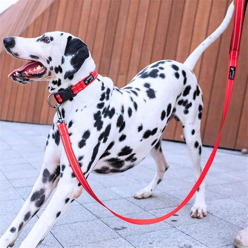 EXCELLENT ELITE SPANKER Durable Nylon Dog Training Leash, 4 Feet Long, 1" Wide with Handle for Small & Medium Dogs (Red)