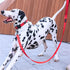 EXCELLENT ELITE SPANKER Strong Durable Nylon Dog Training Leash, 4 Feet Long, 1" Wide for Small Medium Dogs