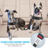 SlowTon Adjustable Dog Seat Belt - Double Dog Safety Leash with Elastic Bungee Buffer (Black, M)