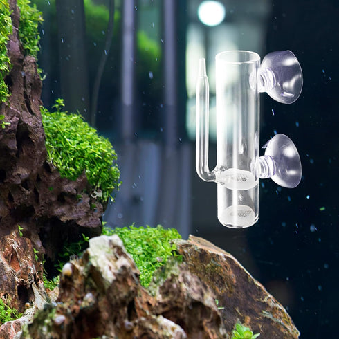 1set Mikikit Glass Shrimp Incubator Box Neocaridina Shrimp Brooder for Dream Live