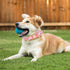 Girl Dog Collar with Detachable Flower, Adjustable Floral Pattern Soft Cotton Collars for Small to Large Dogs