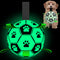 Light Up Dog Ball, Interactive Glow in The Dark Soccer Ball, Tug Water Toy for Small & Medium Dogs, Puppy Gifts (6 Inch)