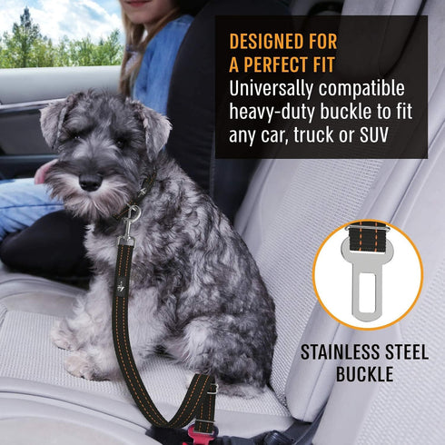 Active Pets Dog Car Seat Belt Harness, Safety Travel Restraint System for Small to Large Dogs, Crash Tested, Orange 1pk.