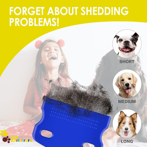 6 Pack Flea Lice Comb, Stainless Steel Dog Cat Grooming Combs, 2-in-1 Double Sided Tear Stain Remover for Pets