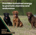 Victor Super Premium Performance Dry Dog Food - 5lbs - 26% Protein for Active Adult Dogs with Glucosamine and
