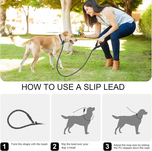 Slip Lead 5 FT for Small and Medium Dogs, Heavy Duty No Pull Reflective Nylon Training Leash, Black.