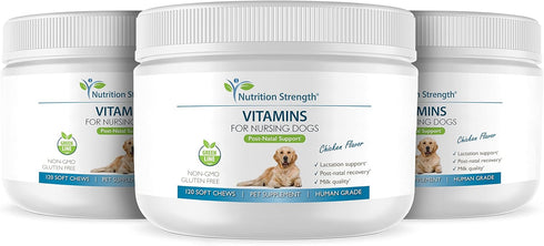 Vitamins for Nursing Dogs to Support Lactation, Milk Quality, Healthy Puppies, 120 Soft Chews