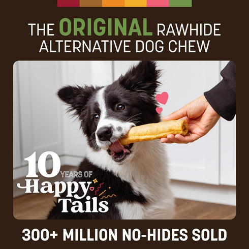 2 Count Earth Animal No Hide Chews - Long Lasting Rawhide Free Medium Dog Chews Rolls, Pork