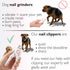 Generic 4-in-1 Trimmer Dog Nail Clippers with Light - Safe Pet Nail for Dogs & Cats, All Breeds - Sharp Stainless Steel