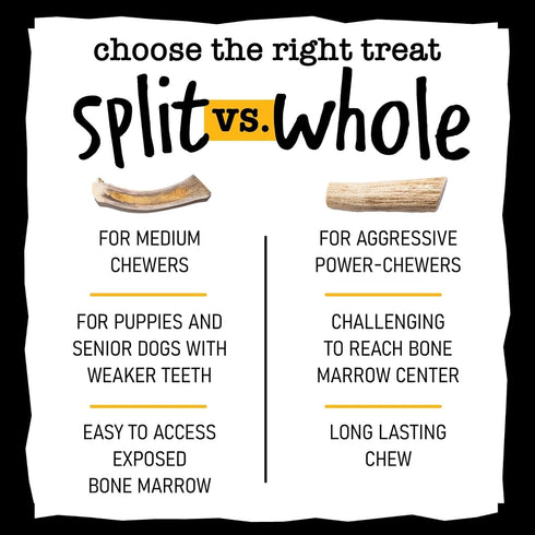 Elk Antlers for Dogs - Long Lasting Chews for Aggressive Chewers, Naturally Shed Deer Antlers Processed in the USA,