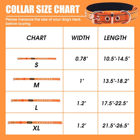 Neoprene Padded Dog Collar, Heavy Duty Nylon Collar with Metal Buckle for Small Medium Large Dogs (Small, Orange)
