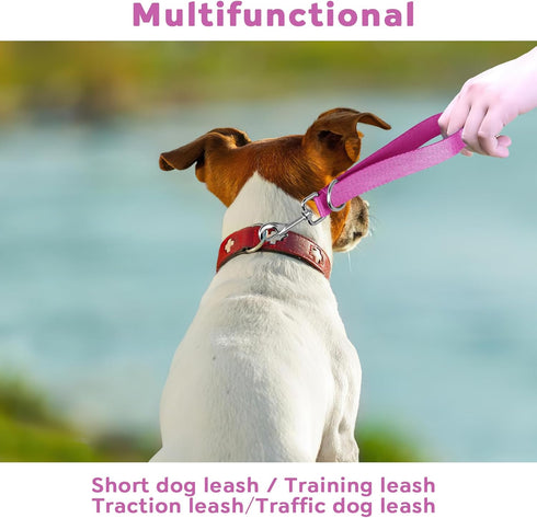 Short Dog Traffic Leash, Dog Training Tab for Small Dogs, Pet Leashes for Large Medium Dogs (Blue and Green)