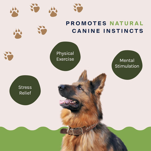 Premium Elk Antlers for Large Dogs by Good Trouble Pets - All-Natural Shed Antler Chews for Dental Health & Calming