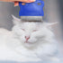 4 Different Flea Combs, Stainless Steel Round Teeth Dog Cat Lice Combs, Durable Fine Tooth Pet Tear Stain Remover Tool,