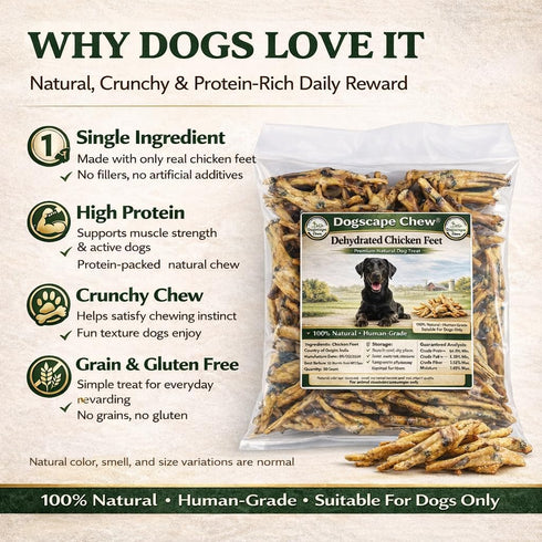 Dogscape chew 50 Dehydrated Chicken Feet Dog Treats, Natural Dental Chews for Dogs, Pieces