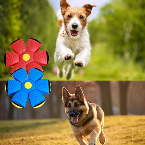 alfyng 2 Pack Pet Toys, Dog Flying Saucer Ball, Interactive Magic Ball for Outdoor Sports (Red + Blue)