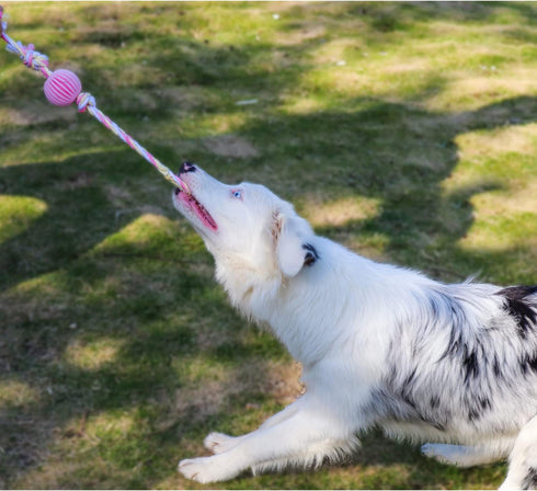 Latex Rope and Ball Dog Chew Toy for Training, Exercise, Agility, Chase (Ball)