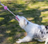 Latex Rope and Ball Dog Chew Toy for Training, Exercise, Agility, Chase (Ball)