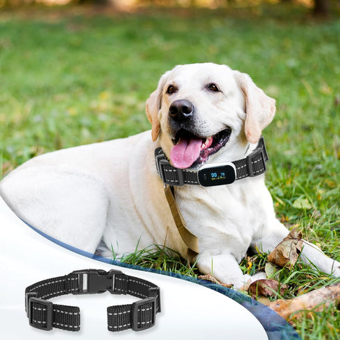 Reflective Collar Replacement Strap, Heavy Duty for Dog GPS Training Bark Receiver Collars, E Collar Straps for Dogs
