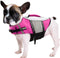 Queenmore Dog Life Jacket Swimming Vest for Small Medium Dogs, Neoprene Lightweight Reflective Kayaking Lifesaver