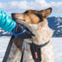 EzyDog Premium Handy Dog Leash, 15”, Red, Soft Neoprene Glove for Running or Jogging