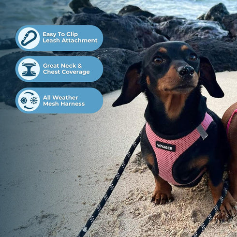 Voyager Step-In Air Dog Harness - All Weather Mesh, Reflective, No Pull for Small, Medium Dogs, Cats - Pink/Black Trim,