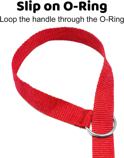 Downtown Pet Supply - 6ft Dog Kennel Slip Lead Leash - Veterinarian, Grooming, Daycare & Animal Rescue Supplies - One