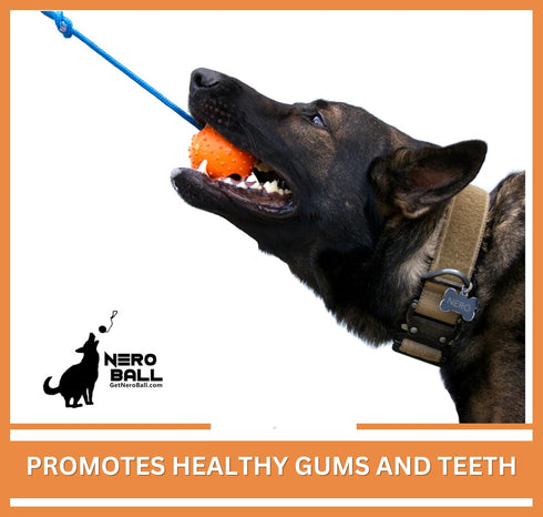 K-9 K-9 The Nero Ball Classic TM - Ball On a Rope Reward and Exercise Toy - Police - Schutzhund