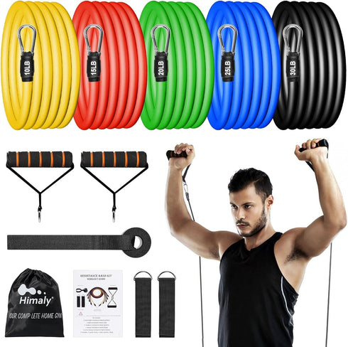 Resistance Bands Set (12pcs) - Workout Bands with Handles, Door Anchor, Ankle Straps, Carry Bag