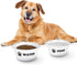 FOREYY Set of 2 Ceramic Dog Cat Bowl Set - Pet Porcelain Food & Water Feeder Dish Bowls, Dishwasher Safe