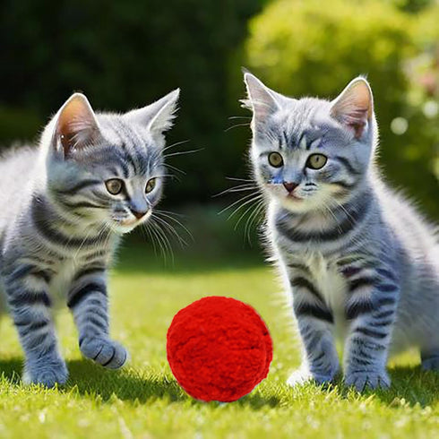 DJRDym 20 Pack 1.8 Inch Interactive Pet Play Pompoms - Soft, Non-Toxic Toy Balls for Cats & Dogs, Lightweight Balls