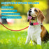 9 Pieces Adjustable Dog Collar for Medium Dogs, Soft Nylon with Quick Release Buckle, Retro Colors