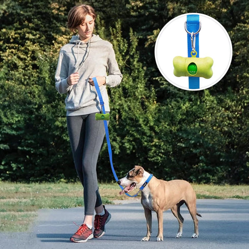 azuza 3 Pack Nylon Dog Leashes - Strong & Durable Basic Style Leash for Large Dogs, Royal Blue/Blue/Green