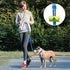 azuza 3 Pack Nylon Dog Leashes - Strong & Durable Basic Style Leash for Large Dogs, Royal Blue/Blue/Green
