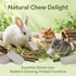 RAINFLOW 12PCS Chinchilla, Hanging Rabbit Lava Blocks Mineral Calcium Grinding Stone for Bunny Hamster Teeth Grinding