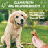 Whimzees by Wellness Dental Treats for Puppies, Natural, Grain Free, Helps Clean Teeth & Freshen Breath