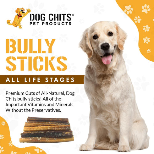 Dog Chits Bully Sticks for Dogs and Puppies | 6-inch, 20 Pack | Natural Healthy Long Lasting Chew Treats