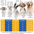 SCENEREAL Dog Hoodie Sweaters for Small Medium Large size Dogs, Fleece Dog Sweatshirt with Hat and Pocket,Soft Cotton Cold Winter All Weather Dog Clothes for S to XL Sized Dogs,Grey (M)