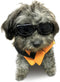 Enjoying Dog Goggles for Small Breed, UV Protection Sunglasses, Driving Eye Protection, Black