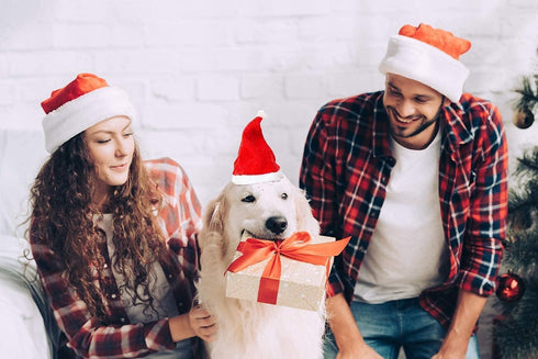 6 Pcs Dog Cat Pet Santa Hat Christmas Costumes for Small Pets, Christmas Photo Props
