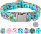 Ice Cream Summer Cotton Dog Collar, Metal Buckle Gift for Small Medium Large Girls or Boys Dogs, Cute Comfortable