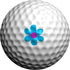 Golfdotz Tropical Collection Golf Ball Markers - Golf Accessories & Customizers, 18-32 Count