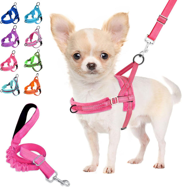 Lukovee No Pull Dog Harness and Leash Set, Soft Padded Small Dog Harness with Neck & Chest Adjustable Reflective Vest