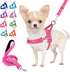 Lukovee No Pull Dog Harness and Leash Set, Soft Padded Small Dog Harness with Neck & Chest Adjustable Reflective Vest