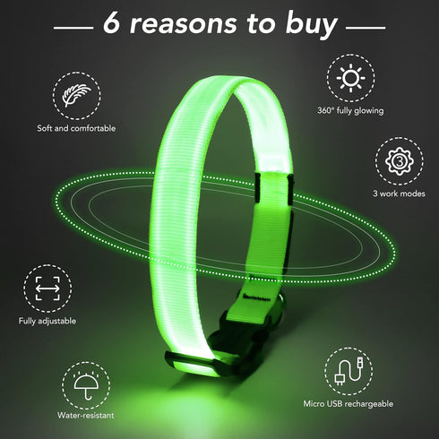 Light Up Dog Collar, Adjustable LED Rechargeable Waterproof for Night Walking, Glow in The Dark for Medium Large Dogs