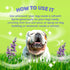 Dirty Dog Beauty Club Humpday Spray for Dogs & Puppies, Odor Eliminating Mist with Organic Essential Oils - 100 ml