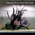 majoywoo Natural Driftwood for Aquarium Decor, Reptile Decor, 13-17" Long, Over 1.3 lbs