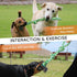 2 Pack Dog Rope Toys for Medium Large Breeds, Nearly Indestructible Chew Toys for Aggressive Chewers