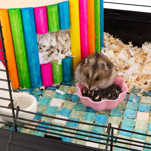 3 Pcs Hamster Food Bowl, Cute Shape Dish for Hamster, Rat, Mice, and Other Small Animals (Pink, Green, Blue)